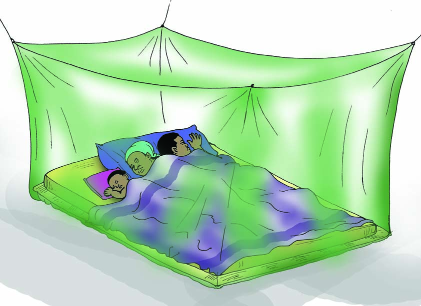 sleeping under mosquito net.